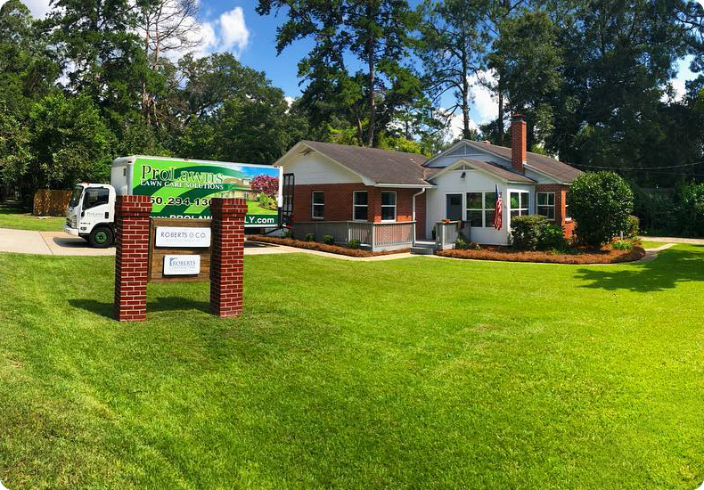 ProLawns | Lawn and Landscape Company in Tallahassee, FL