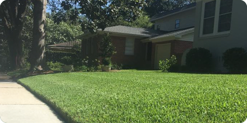 ProLawns | Lawn and Landscape Company in Tallahassee, FL